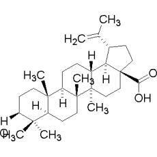 ZB801934 白桦脂酸, 分析对照品