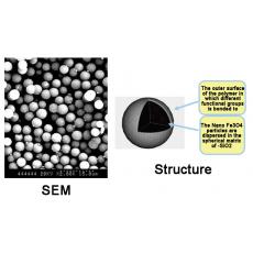 ZS914102 SLE 包埋式二氧化硅磁性微球, 基质:SiO2,表面基团:-SiOH,粒径:1-2μm,单位:10mg/ml