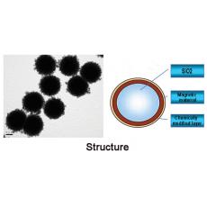 ZS914108 SLC 核壳式二氧化硅磁性微球, 基质:SiO2,表面基团:-NH2,粒径:2-3μm,单位:10mg/ml
