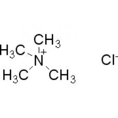 ZT919489 四甲基氯化铵, AR