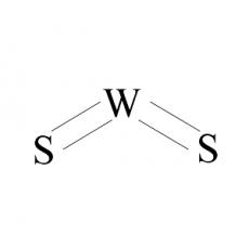 ZT819253 二硫化钨, 99.9% metals basis,2 μm