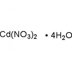ZC804398 硝酸镉,四水合物, AR,99%
