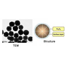 ZM914146 四氧化三铁磁性纳米微球, 基质:Fe3O4,表面基团:-SiOH,粒径:500-600 nm,单位:5mg/ml