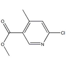 ZM827092 Methyl 6-chloro-4-methylpyridine-3-carboxylate, ≥95%