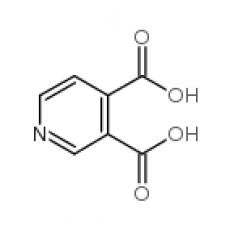 ZP815863 吡啶-3,4-二羧酸, 97%