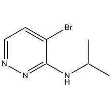 ZN824898 4-bromo-N-isopropylpyridazin-3-amine, ≥95%