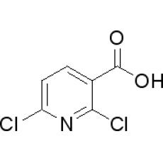 ZD908561 2,6-二氯吡啶-3-羧酸, 97%
