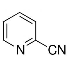 ZP815841 2-氰基吡啶, 98%