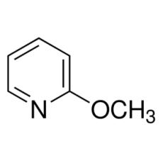 ZM914172 2-甲氧基吡啶, 98%