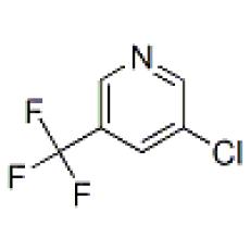 ZC906269 3-氯-5-(三氟甲基)吡啶, 97%