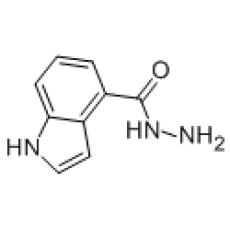 ZH825260 1H-indole-4-carbohydrazide, ≥95%
