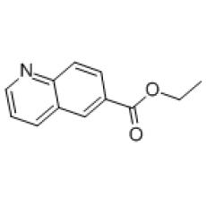 ZQ829651 6-喹啉甲酸乙酯, 98%