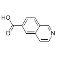 ZI825669 6-异喹啉甲酸, ≥95%