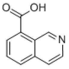ZI925211 Isoquinoline-8-carboxylic acid, ≥95%