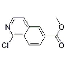 ZM926804 Methyl 1-chloroisoquinoline-6-carboxylate, ≥95%