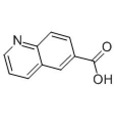 ZQ825995 Quinoline-6-carboxylic acid, ≥95%
