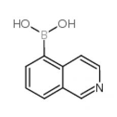ZI828630 异喹啉-5-硼酸, 95%
