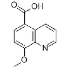 ZM925130 8-methoxyquinoline-5-carboxylic acid, ≥95%