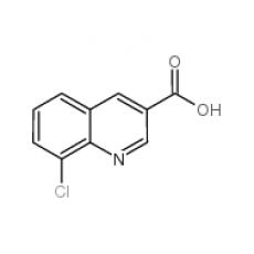 ZC924975 8-chloroquinoline-3-carboxylic acid, ≥95%