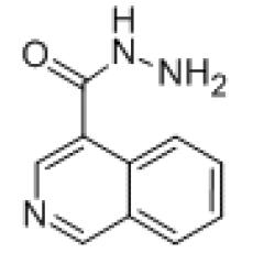 ZI925191 Isoquinoline-4-carbohydrazide, ≥95%