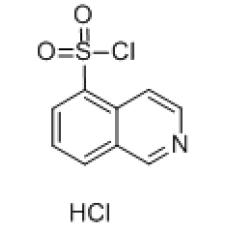 ZI826067 Isoquinoline-5-sulfonyl chloride hydrochloride, ≥95%
