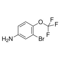 ZB803782 3-溴-4-(三氟甲氧基)苯胺, 98%