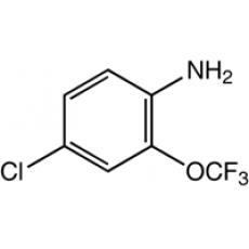 ZC906061 4-氯-2-(三氟甲氧基)苯胺, 97%