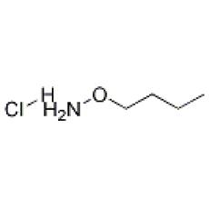 ZO950341 O-丁基羟胺盐酸盐, 95%