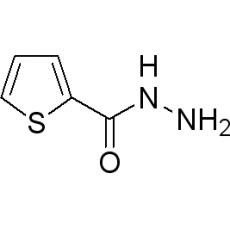 ZT918761 2-噻吩甲酰肼, 98%