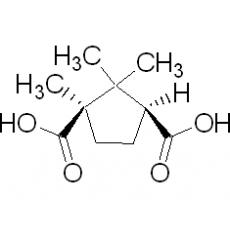 ZC904851 (+)-樟脑酸, 99%