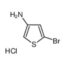 ZB827589 5-bromothiophen-3-amine hydrochloride, ≥95%