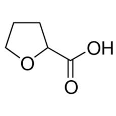 ZT924054 四氢呋喃-2-甲酸, 98%