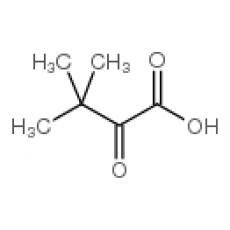 Z934734 3,3-二甲基-2-氧代丁酸, 98%