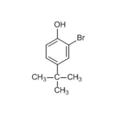 Z903524 2-溴-4-叔丁基苯酚, 97.0%