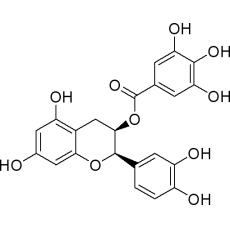 Z908661 表儿茶素没食子酸酯, 95%