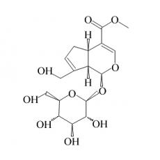 Z910669 京尼平甙, ≥98% (HPLC)