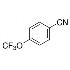 Z928843 对三氟甲氧基苯腈, 98%