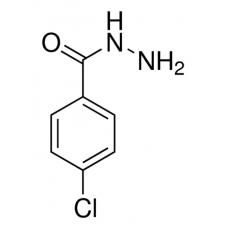 Z938722 4-氯苯甲酰肼, 98%