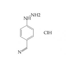 Z904378 4-氰基苯肼盐酸盐, 97%
