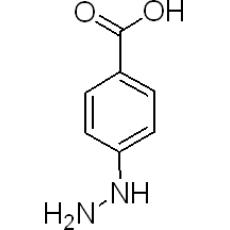 Z911018 对羧基苯肼, 98%