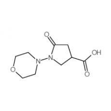 Z928159 1-(4-吗啉)-5-氧代-3-吡咯烷羧酸, 95%