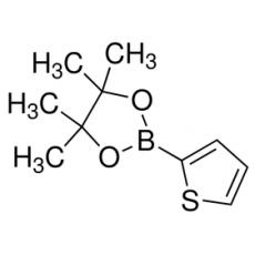 Z920036 噻吩-2-硼酸频哪醇酯, 97%