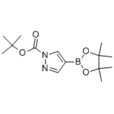 Z929874 1-Boc-吡唑-4-硼酸频哪醇酯, 97%