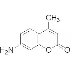 Z900799 7-氨基-4-甲基香豆素, 98%