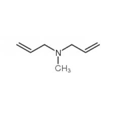 Z924189 N-甲基二烯丙基胺, 98%