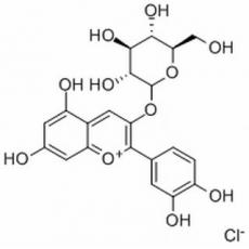 矢车菊素-3-O-葡萄糖苷分析标准品,HPLC≥98%