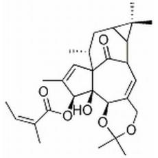 巨大戟醇-5,20-缩丙酮-3-当归酸酯分析标准品,HPLC≥98%