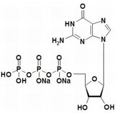 5-鸟苷三磷酸二钠盐高纯，95%