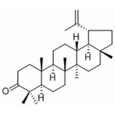 羽扇烯酮分析标准品,≥98%（TLC）