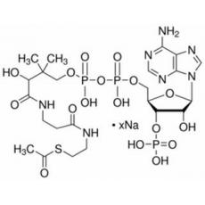 乙酰辅酶ABR，93%